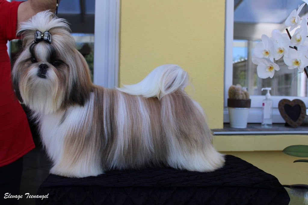 Teenangel Somebody to love